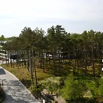 Apartman 33 Forrest Shellter *