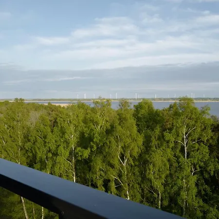 Shellter 33 Forrest Art & Design