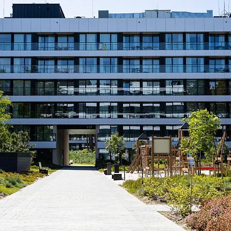 Shellter 33 Forrest Art & Design