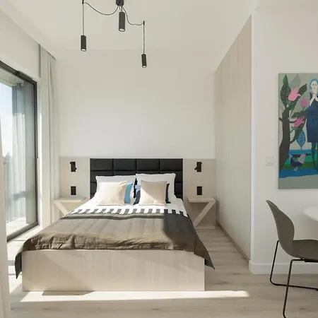 Shellter 33 Forrest Art & Design