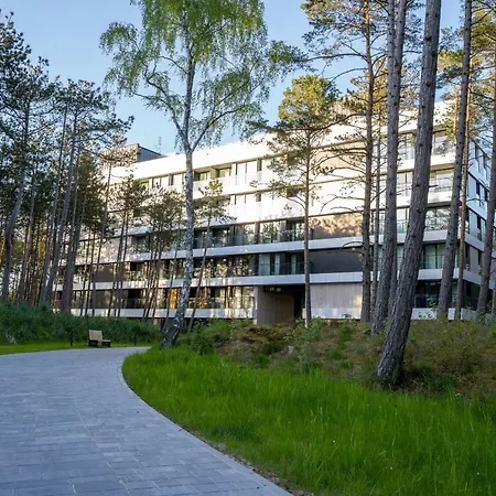 Shellter 33 Forrest Art & Design *