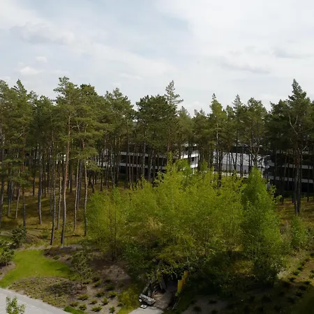 Apartament Shellter 33 Forrest Art & Design