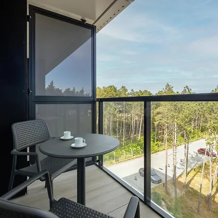 Shellter 33 Forrest Art & Design