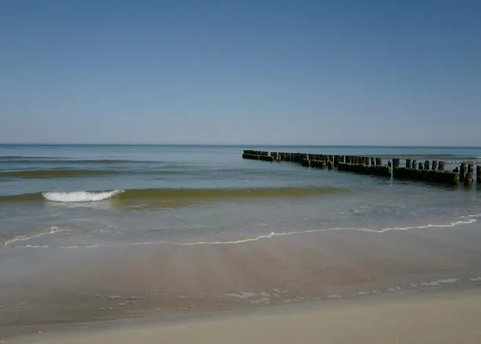 Apartamento Shellter 33 Forrest Art & Design Rogowo (Gryfice)