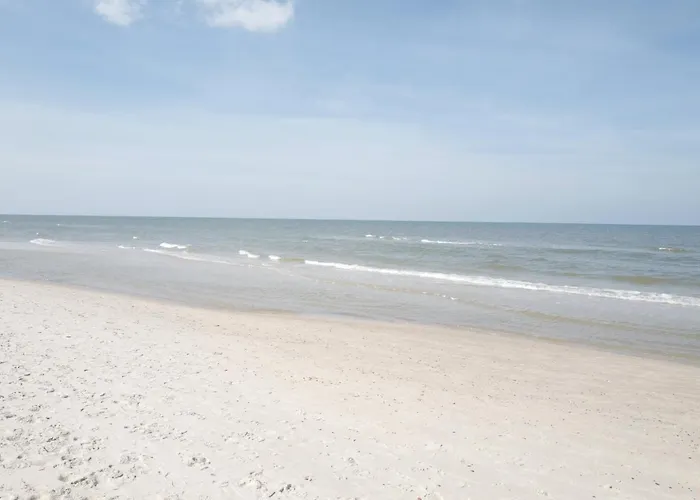 Shellter 33 Forrest Art & Design * Rogowo (Gryfice)