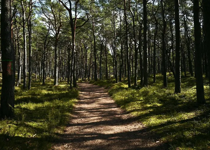 Shellter 33 Forrest Art & Design Apartamento Rogowo (Gryfice)