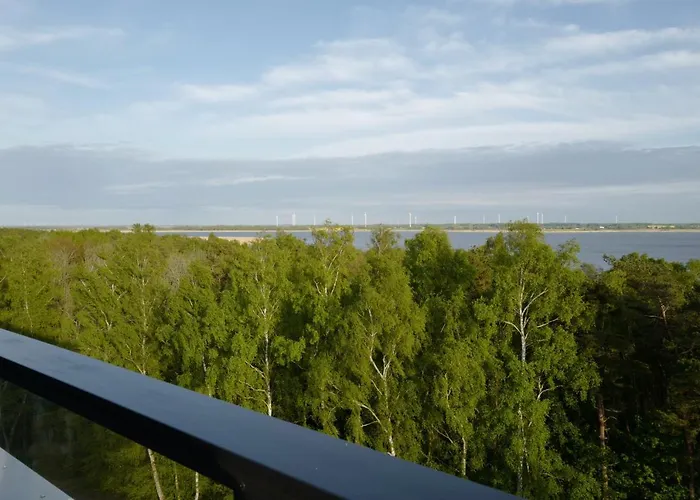 Shellter 33 Forrest Art & Design