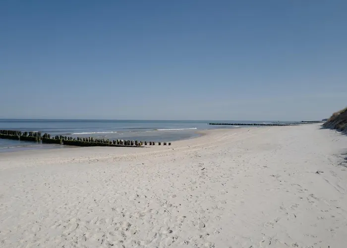 Shellter 33 Forrest Art & Design Apartamento *