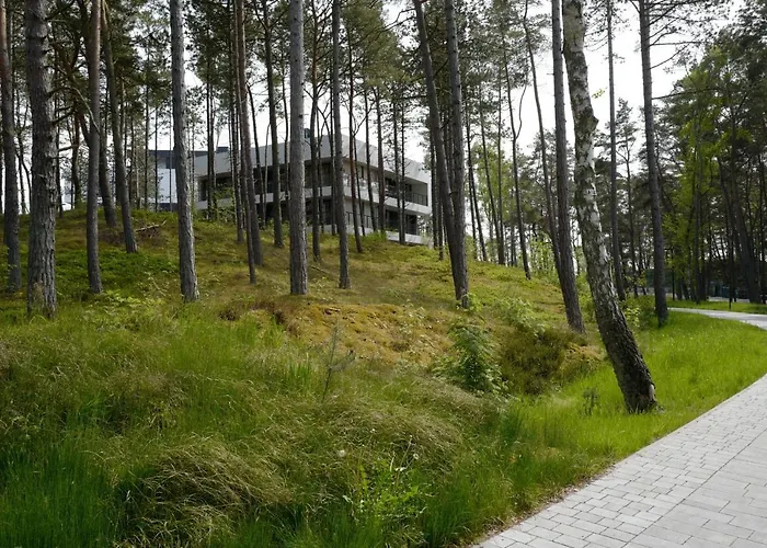 Shellter 33 Forrest Art & Design * Rogowo (Gryfice)