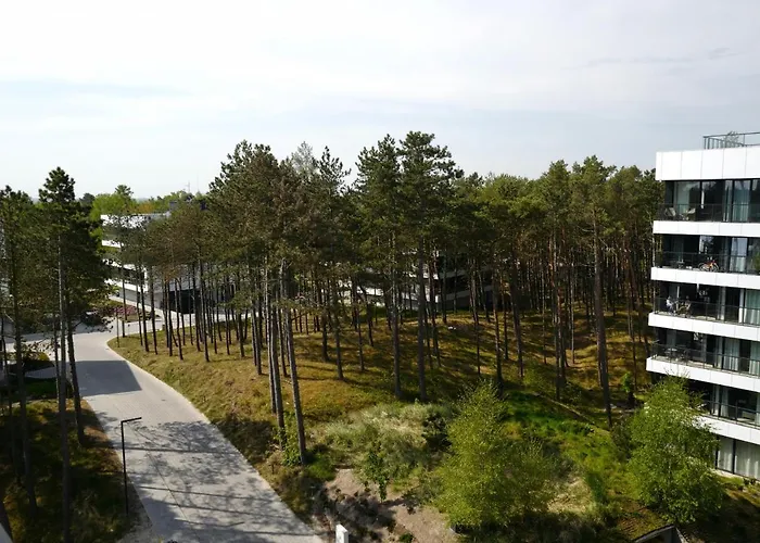 Apartamento Shellter 33 Forrest Art & Design *