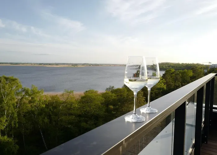 Shellter 33 Forrest Art & Design *