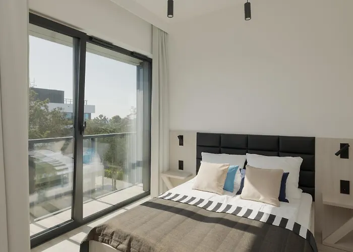 Shellter 33 Forrest Art & Design *