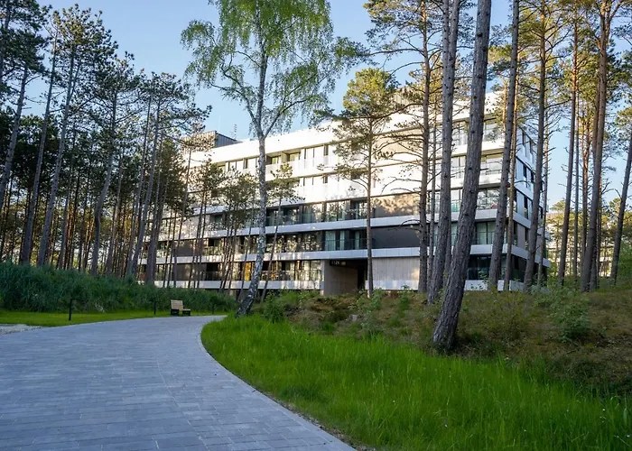 Shellter 33 Forrest Art & Design *