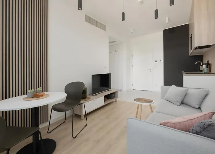 Shellter 33 Forrest Art & Design