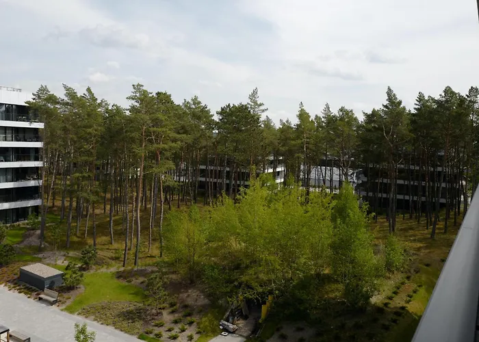 Apartamento Shellter 33 Forrest Art & Design