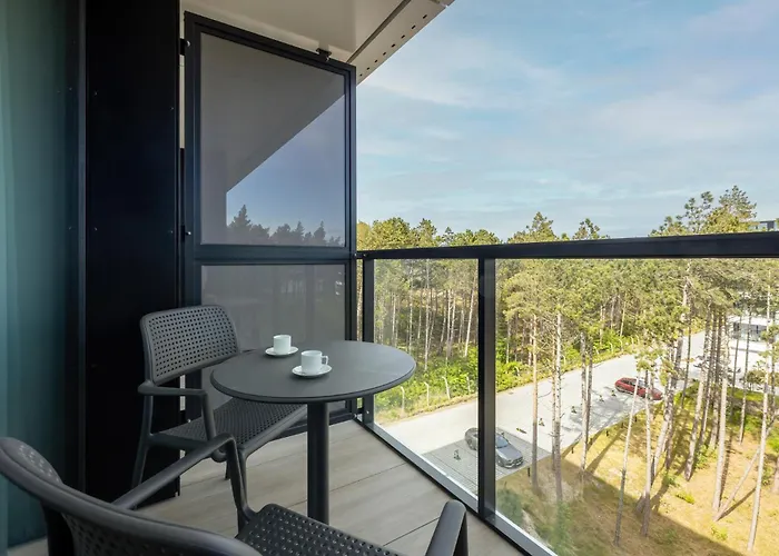 Shellter 33 Forrest Art & Design