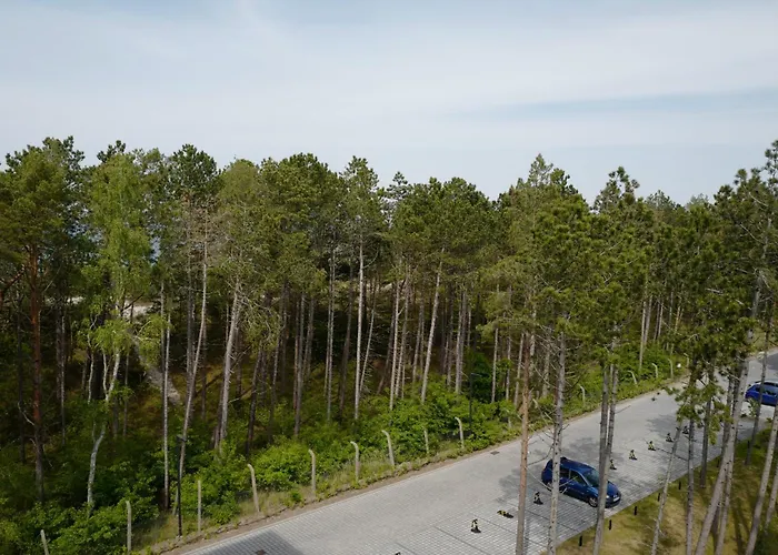 Apartamento Shellter 33 Forrest Art & Design