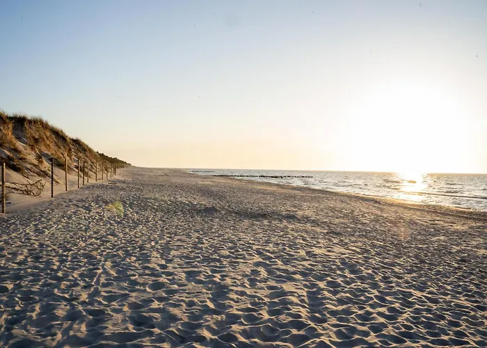 Shellter 33 Forrest Art & Design Rogowo (Gryfice)