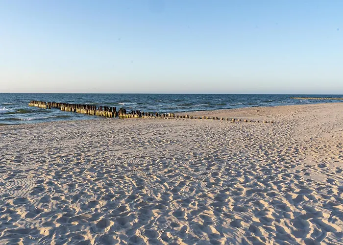 Shellter 33 Forrest Art & Design * Rogowo (Gryfice)